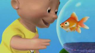 Baby Signs®  FISH My Pets Signs DVD  Preview Clip [upl. by Asillim768]