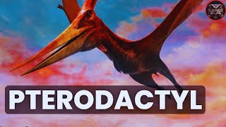 Pterodactyl The Ancient Winged Reptile [upl. by Nitsew]