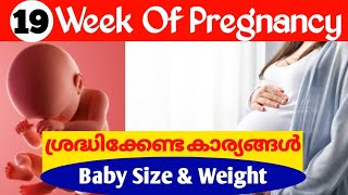 Pregnancy Week by Week Malayalam  19 Weeks Pregnancy Malayalam [upl. by Bobbie]