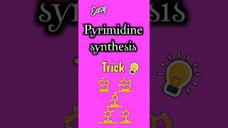 Easy Pyrimidine synthesis trick biochemistry medicalmnemonics biologytricks shortsfeed [upl. by Helbonnas]