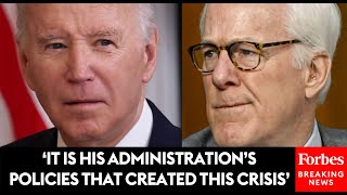 WATCH John Cornyn Rails Against President Biden And Sec Alejandro Mayorkas Over Border Policies [upl. by Schuler]