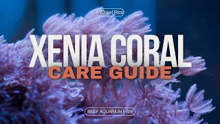 Guide to Keeping Xenia Coral in Your Reef Aquarium  BeginnerFriendly Tips [upl. by Solis66]