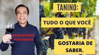 O TANINO DO VINHO o que é como identificar na boca e avaliar a sua qualidade [upl. by Elianore]