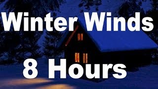 Winter Wind  Relaxing Nature Sounds for Sleep  8 Hours Long [upl. by Yennek]