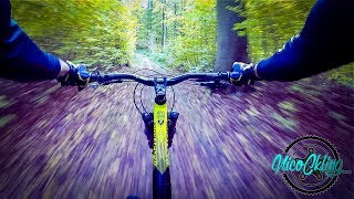 VTT  SingletrackManual  Balade dans la Foret [upl. by Maze656]