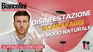 ​📌​Disinfestazione naturale fai da te Eliminare scarafaggi in casa tua grazie ad un GEL speciale [upl. by Nali267]