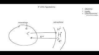 Potassium Hypokalemia Hyperkalemia and transcellular shifts [upl. by Riplex523]