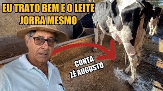 É POSSÍVEL TER MUITO LUCRO COM LEITE [upl. by Marley]