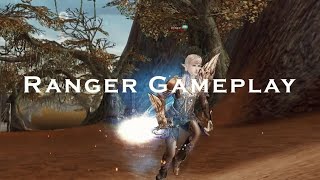 Shaiya Evolved  Arena PVP  Ranger Gameplay  Part 1 [upl. by Ayar]