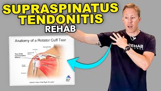 4 Supraspinatus Tendonitis Exercises [upl. by Ainaled]