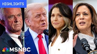 Countdown to the 2024 election Day 64  MSNBC Highlights [upl. by Socrates]