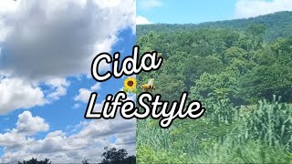 Pé Na Estrada Destino Cáceres Mato Grosso  Brasil  Cida LifeStyle  🌻 🐝 [upl. by Cormack472]