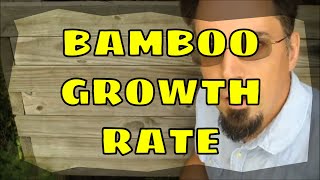 How Fast Does Bamboo Grow With Measurements [upl. by Diamond]