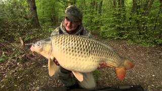 Danny Fairbrass Talks Carp Fishing Rigs [upl. by Mathew]