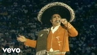 Vicente Fernández  Volver Volver En Vivo [upl. by Esta986]