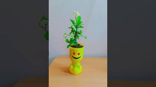 Plastic bottle craft ideas 💡bestoutofwasterecycledcrafteasycraftdiycraftshotsfeedshortvideo [upl. by Nnailuj]