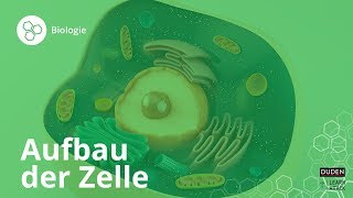 Aufbau der Zelle Bio leicht gemacht – Biologie  Duden Learnattack [upl. by Asiulairam]