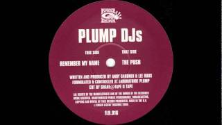 Plump DJs  The Push [upl. by Anib]