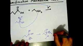 How to Make Amides Mechanism [upl. by Piper]