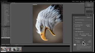 Mastering Lightroom Classic CC  31 Print Module [upl. by Yanaj]