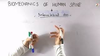 Structure of intervertebral disc  biomechanics of human spine  Part1 [upl. by Ydnis]