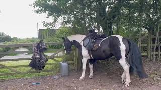 CnG Equine Flash at the jump field [upl. by Theresina]