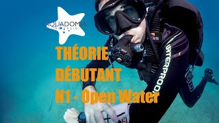 Cours plongée sousmarine débutant  lintégrale en 1H de théorie  Free scuba diving course [upl. by Geehan664]