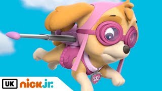 Paw Patrol  Meet Skye  Nick Jr UK [upl. by Azelea]