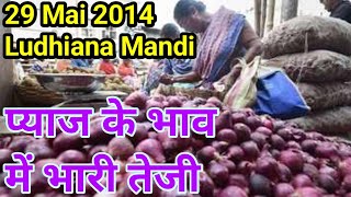 29 mai 2024 लुधियाना मंडी प्याज के भाव में भारी तेजी pyaj onion price today Ludhiana Mandi [upl. by Pieter]