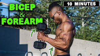 10 MINUTE LIGHTWEIGHT DUMBBELL BICEP amp FOREARM WORKOUT [upl. by Smoht]