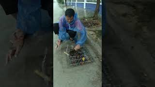 Amazing Unclogged Drain Flood Rain On Street Road unclog remove drain flood shorts [upl. by Hogen]