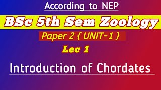 Introduction of Chordats  Origin of chordates  Origin of chordates and hemichordates Zoology 2nd [upl. by Akoek605]