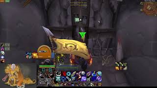 TBC HunterDruid 2s Last queue session to hit glad [upl. by Esinek150]