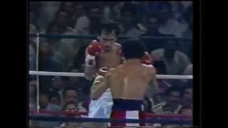 Wilfredo Gomez vs Carlos Zarate full fight HD [upl. by Darsie]