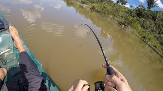 Peixe grande na pesca de fundo Rodada com vara e molinete na água doce [upl. by Hall]