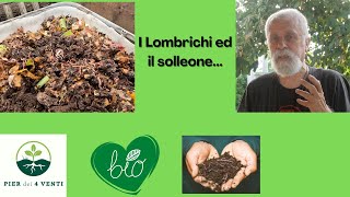 I Lombrichi ed il solleone [upl. by Odraleba]