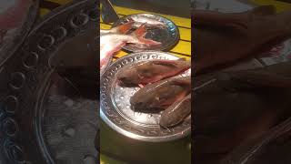 Gongar janto reetha and pangash fishfish lovereveryone [upl. by Ahseen779]