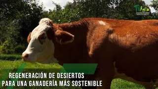 Regeneración de desiertos para una ganadería más sostenible  TvAgro por Juan Gonzalo Angel Restrepo [upl. by Yemarej]