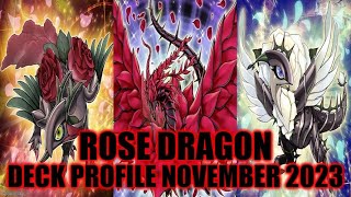 ROSE DRAGON DECK PROFILE NOVEMBER 2023 YUGIOH [upl. by Sears]