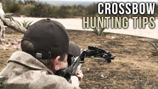 First Time Crossbow Hunting Tips [upl. by Hctim]