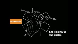 End Tidal CO2 The Basics [upl. by Notserk594]