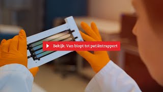 Van biopt tot patiëntrapport  Hartwig Medical Foundation [upl. by Tewell]