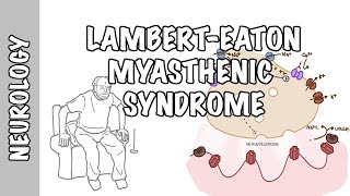 LambertEaton Myasthenic Syndrome  pathophysiology signs and symptoms and treatment [upl. by Chasse911]