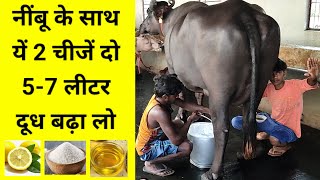 नींबू के साथ ये दे दो 57 लीटर दूध बढ़ा लो  How to increase milk  Shishpal Malik milk dudh [upl. by Marten]