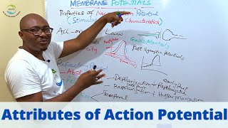 Properties of Action Potentials [upl. by Mello]