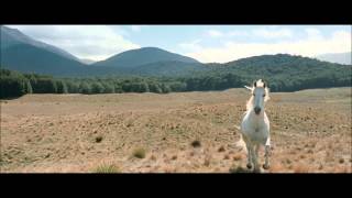 LOTR The Two Towers  Shadowfax [upl. by Christoffer]