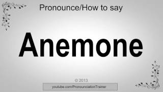 How to Pronounce Anemone [upl. by Ailuy]