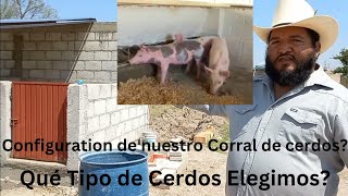 Nuestros Cerdos Llegaron a la Granja en Guanajuato México [upl. by Litnahs525]