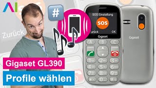 Gigaset GL390  Profile • 📱 • 🔇 • 📳 • Anleitung  Tutorial [upl. by Daron]