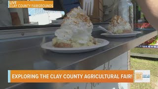 Exploring the Clay County Agricultural Fair [upl. by Maise]